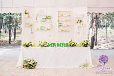 Президиум молодоженов и выездная церемония. Изображение 28015 Президиум молодоженов и выездная церемония. Изображение 28015