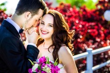 Wedding. Изображение 28302