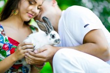 Love Story. Изображение 28327