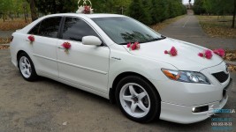 Свадебный автомобиль Toyota Camry Hybrid (Тойота Камри Гибрид) белого цвета. Изображение 2548