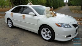 Свадебный автомобиль Toyota Camry Hybrid (Тойота Камри Гибрид) белого цвета. Изображение 2543