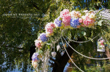 Выездная Церемония  . Изображение 28586