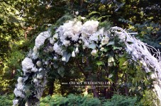 Выездная Церемония  . Изображение 28580