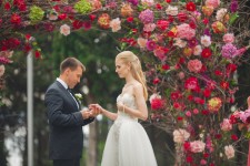 Свадьба в Крыму. Изображение 28756