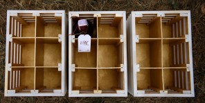 Свадебная съемка. Изображение 33174