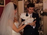 Свадебная фейерия. Изображение 28830