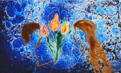 Водное шоу на свадьбу. Изображение 29296