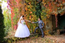 Marryd me. Изображение 29360 Marryd me. Изображение 29360