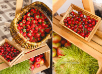 Party Bar. Изображение 29424