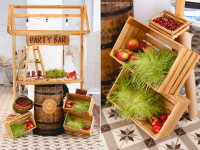 Party Bar. Изображение 29422