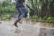 День свадьбы Андрей & Наташа. Изображение 29899