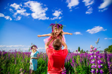 Свадебный и семейный фотограф. Изображение 29994