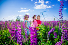 Свадебный и семейный фотограф. Изображение 29995