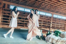 Woody Day. Изображение 30404