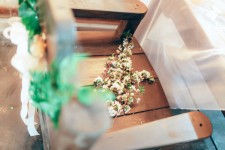 Woody Day. Изображение 30428