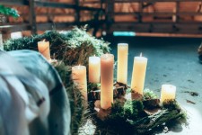 Woody Day. Изображение 30401