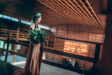 Woody Day. Изображение 30407