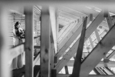 Woody Day. Изображение 30395