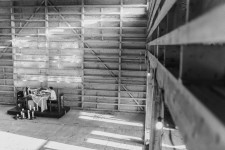 Woody Day. Изображение 30435