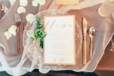 Woody Day. Изображение 30429