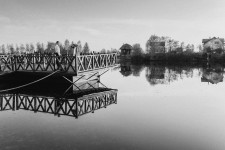 Woody Day. Изображение 30451