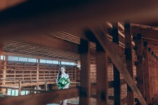 Woody Day. Изображение 30383