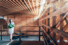 Woody Day. Изображение 30381