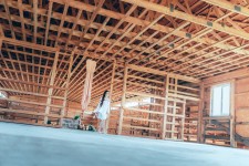 Woody Day. Изображение 30392