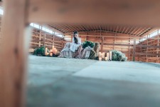 Woody Day. Изображение 30384