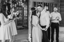 Woody Day. Изображение 30412