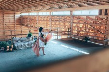 Woody Day. Изображение 30393