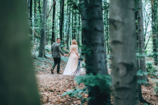 Forest Wedding. Изображение 30465