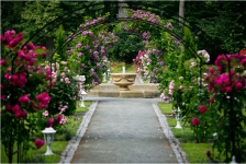 Свадьбы во дворцах и замках Чехии. Изображение 30794