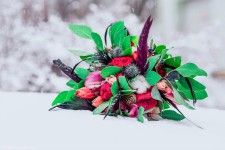 Андрей и Яна. Изображение 30827