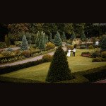 Wedding. Изображение 32610