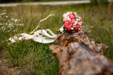 Wedding. Изображение 31942