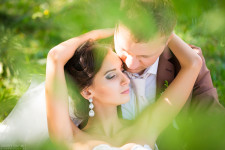 Wedding. Изображение 31941