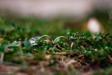 Wedding. Изображение 31559