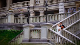 Wedding. Изображение 32307