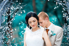 Wedding. Изображение 31560