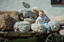 Праздничные улыбки. Изображение 31044