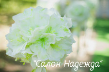 Выездная церемония. Изображение 31260