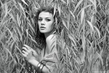 Художественный портрет. Изображение 31665