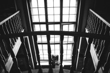 Портфоліо. Изображение 32582