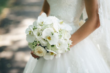 Портфоліо. Изображение 32656