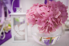 Свадьба в оттенках розового и фиолетового. Изображение 32633