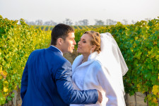 Свадебы. Изображение 32784