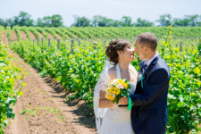 Свадебы. Изображение 32779