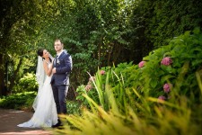 Образцы. Изображение 32950