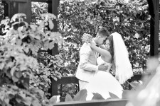 Образцы. Изображение 32965